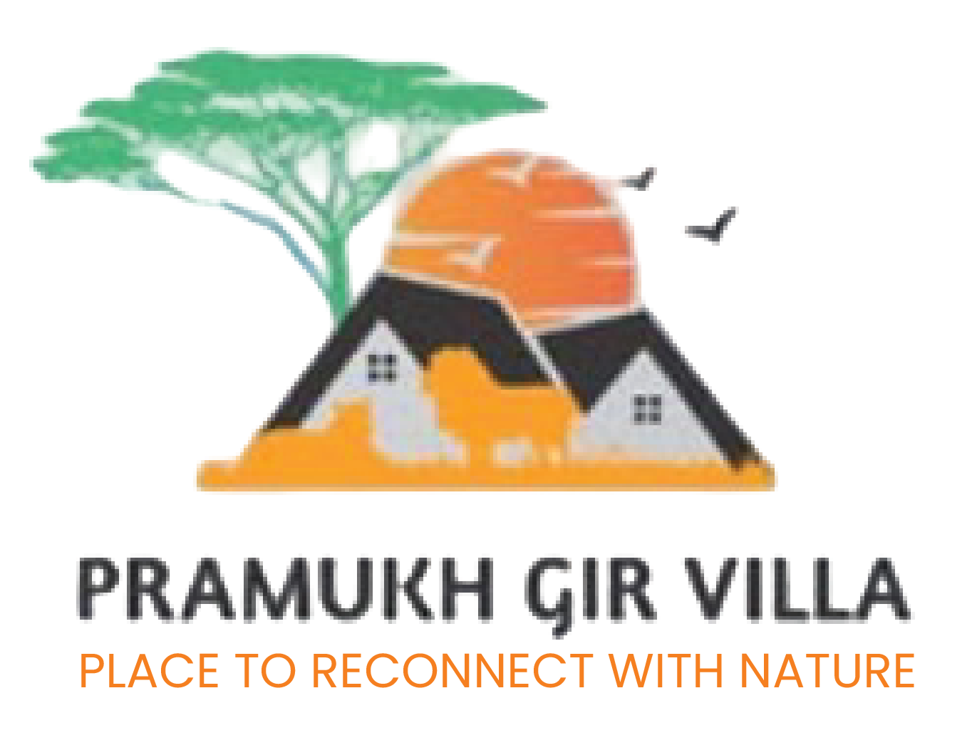 Pramukh Gir Villa